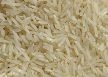 comércio de arroz, arrozaria;
